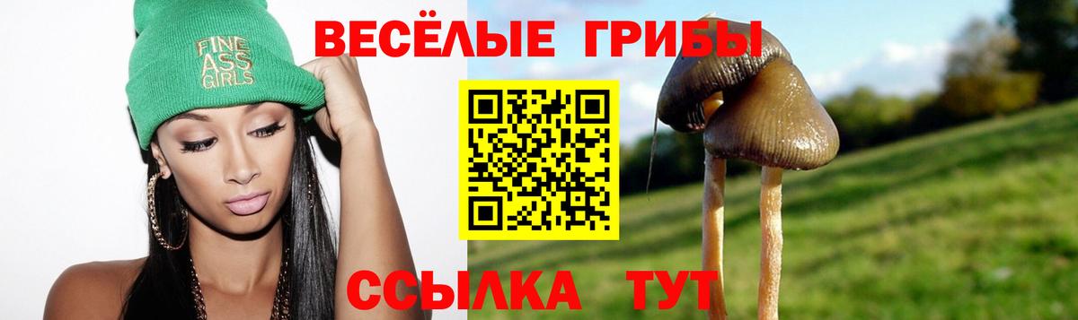 Анапа  Псилоцибиновые грибы ЛСД  Вход с VPN 